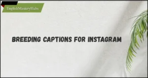320+ Breeding Captions for Instagram