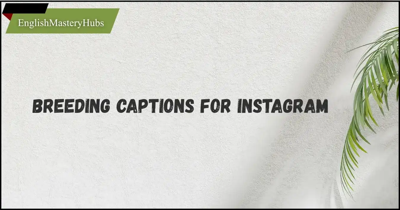 320+ Breeding Captions for Instagram