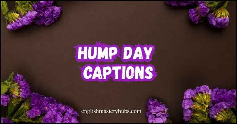 Hump Day Captions